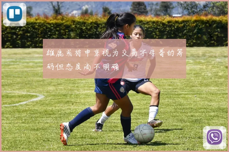 雄鹿或将申京视为交易字母哥的筹码但态度尚不明确