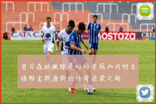昔日森林狼球员纷纷夺冠加内特乐福维金斯唐斯的传奇逆袭之路