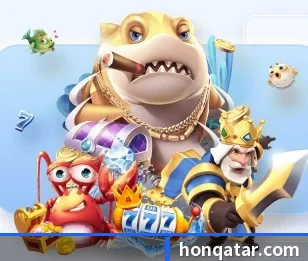 aoa网页版入口的故事